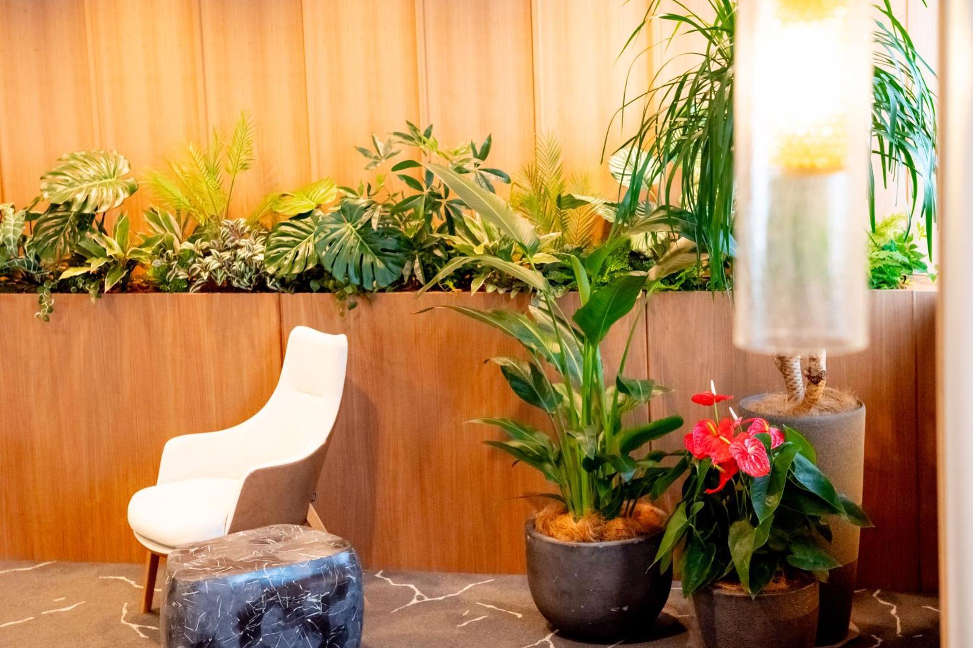 Richmond Hotel Miyazakiekimae מראה חיצוני תמונה